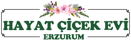 Erzurum çiçekçi
