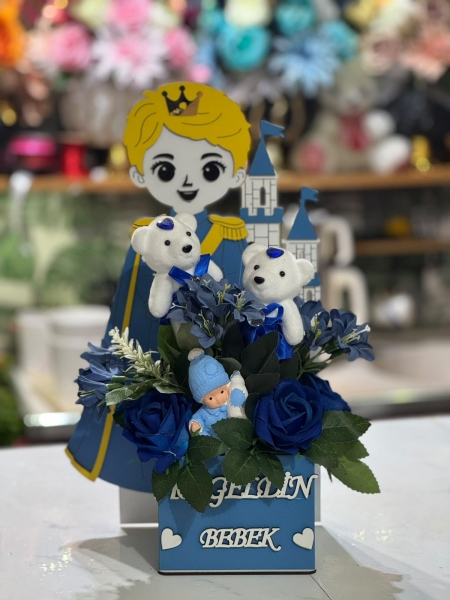 PRENS ERKEK YENİDOĞAN ARAJMAN