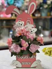KIZ YENİDOĞAN TAVŞAN MODELİ
